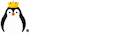 Kinguin logo